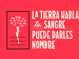 BAnner TIERRA