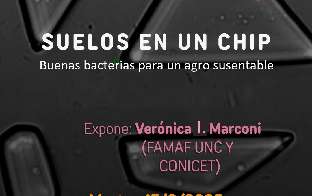 Buenas Bacterias