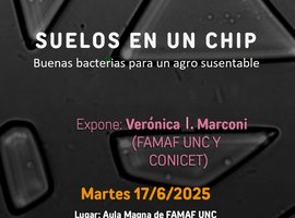 Buenas Bacterias