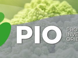 PIO-BANER-GRANDE-1.jpg