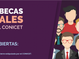 IG Conicet.png